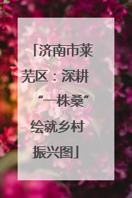 济南市莱芜区：深耕“一株桑” 绘就乡村振兴图