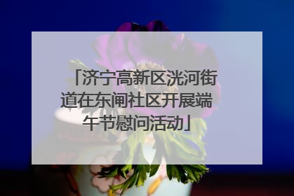 济宁高新区洸河街道在东闸社区开展端午节慰问活动