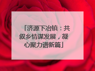 济源下冶镇：共叙乡情谋发展，凝心聚力谱新篇