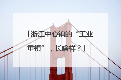 浙江中心镇的“工业重镇”，长啥样？