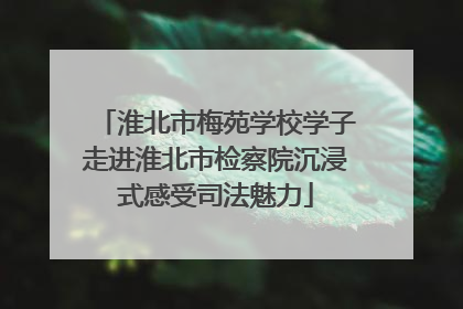 淮北市梅苑学校学子走进淮北市检察院沉浸式感受司法魅力