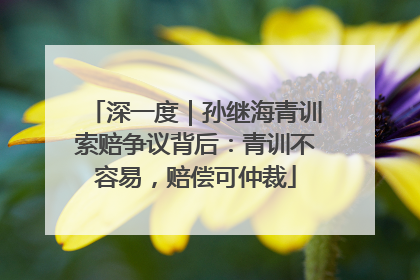 深一度｜孙继海青训索赔争议背后：青训不容易，赔偿可仲裁