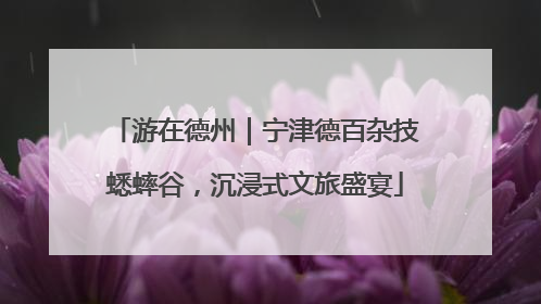游在德州｜宁津德百杂技蟋蟀谷，沉浸式文旅盛宴