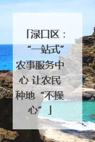 渌口区：“一站式”农事服务中心 让农民种地“不操心”