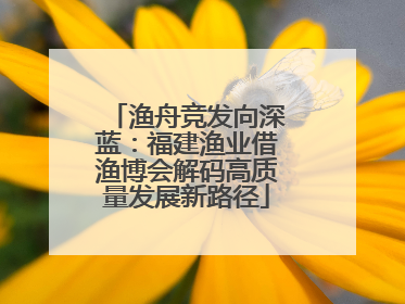 渔舟竞发向深蓝：福建渔业借渔博会解码高质量发展新路径