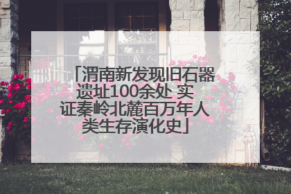渭南新发现旧石器遗址100余处 实证秦岭北麓百万年人类生存演化史