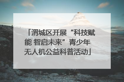 渭城区开展“科技赋能 智启未来”青少年无人机公益科普活动