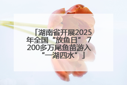 湖南省开展2025年全国“放鱼日” 7200多万尾鱼苗游入“一湖四水”
