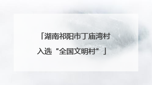 湖南祁阳市丁庙湾村入选“全国文明村”