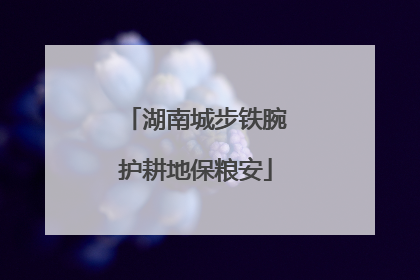 湖南城步铁腕护耕地保粮安