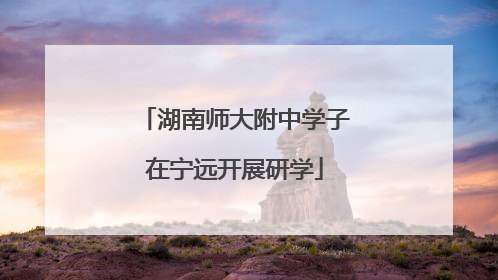湖南师大附中学子在宁远开展研学