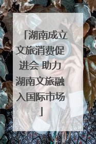 湖南成立文旅消费促进会 助力湖南文旅融入国际市场