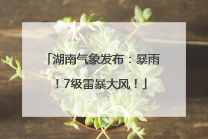 湖南气象发布：暴雨！7级雷暴大风！