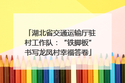 湖北省交通运输厅驻村工作队：“铁脚板”书写龙凤村幸福答卷