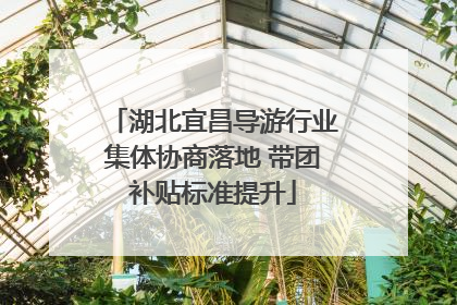 湖北宜昌导游行业集体协商落地 带团补贴标准提升
