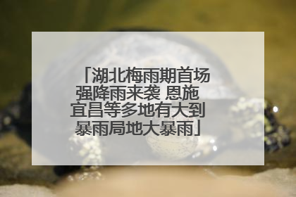 湖北梅雨期首场强降雨来袭 恩施宜昌等多地有大到暴雨局地大暴雨