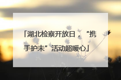 湖北检察开放日，“携手护未”活动超暖心