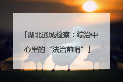 湖北通城检察：综治中心里的“法治前哨”