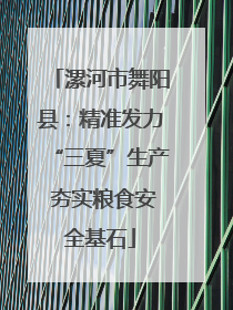 漯河市舞阳县：精准发力“三夏”生产 夯实粮食安全基石