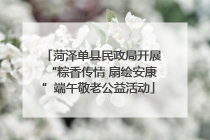 菏泽单县民政局开展“粽香传情 扇绘安康”端午敬老公益活动