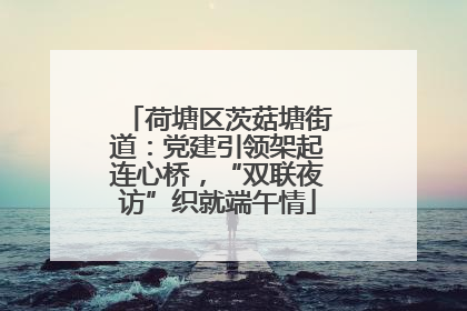 荷塘区茨菇塘街道：党建引领架起连心桥，“双联夜访”织就端午情