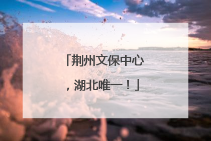 荆州文保中心，湖北唯一！