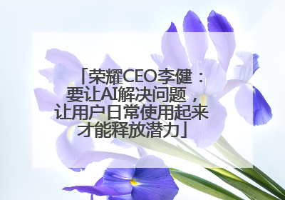 荣耀CEO李健：要让AI解决问题，让用户日常使用起来才能释放潜力
