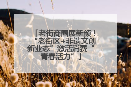 老街商圈展新颜！“老街区+非遗文创新业态”激活消费“青春活力”