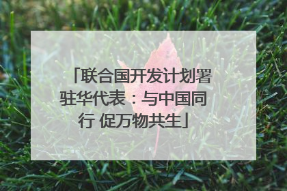 联合国开发计划署驻华代表：与中国同行 促万物共生