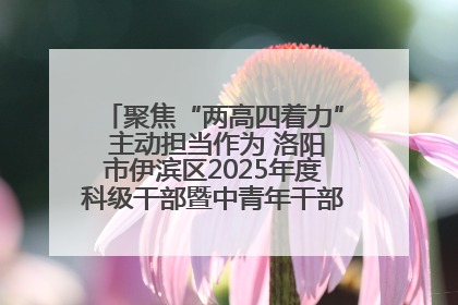 聚焦“两高四着力” 主动担当作为 洛阳市伊滨区2025年度科级干部暨中青年干部培训班开班