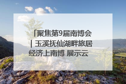 聚焦第9届南博会｜玉溪抚仙湖畔旅居经济上南博 展示云南生活新样本