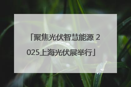 聚焦光伏智慧能源 2025上海光伏展举行