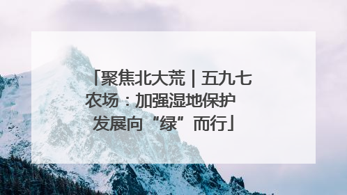 聚焦北大荒｜五九七农场：加强湿地保护 发展向“绿”而行