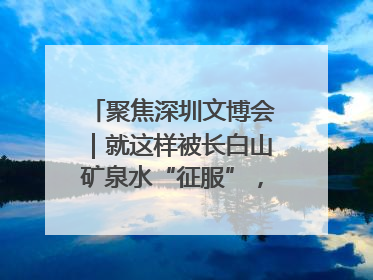聚焦深圳文博会｜就这样被长白山矿泉水“征服”，订单纷至沓来