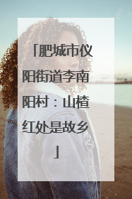 肥城市仪阳街道李南阳村：山楂红处是故乡