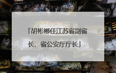 胡彬郴任江苏省副省长、省公安厅厅长