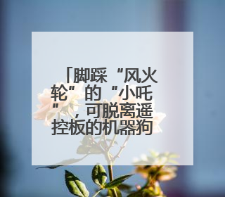 脚踩“风火轮”的“小吒”，可脱离遥控板的机器狗，泡桐树小学来了新朋友！