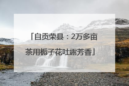 自贡荣县：2万多亩茶用栀子花吐露芳香