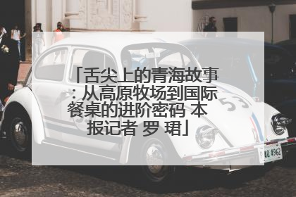 舌尖上的青海故事：从高原牧场到国际餐桌的进阶密码 本报记者 罗 珺