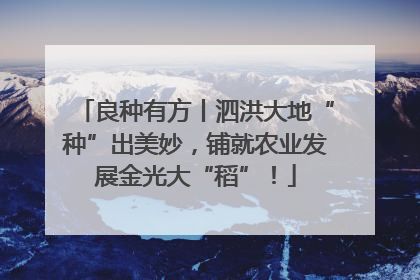 良种有方丨泗洪大地“种”出美妙，铺就农业发展金光大“稻”！