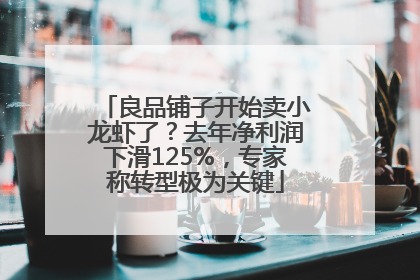 良品铺子开始卖小龙虾了？去年净利润下滑125%，专家称转型极为关键