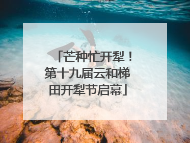 芒种忙开犁！第十九届云和梯田开犁节启幕