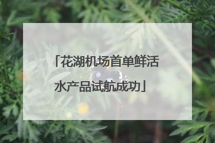 花湖机场首单鲜活水产品试航成功
