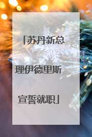 苏丹新总理伊德里斯宣誓就职