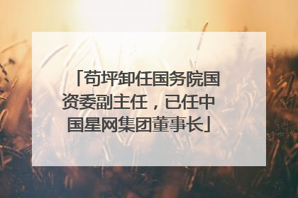 苟坪卸任国务院国资委副主任，已任中国星网集团董事长