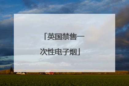英国禁售一次性电子烟