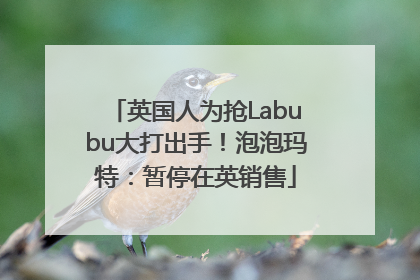 英国人为抢Labubu大打出手！泡泡玛特：暂停在英销售