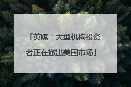 英媒：大型机构投资者正在撤出美国市场