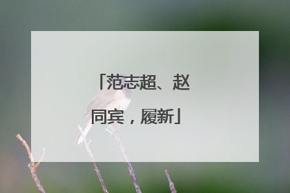 范志超、赵同宾，履新