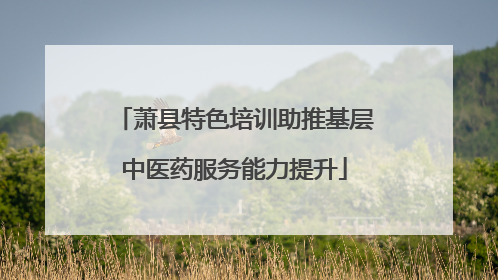 萧县特色培训助推基层中医药服务能力提升